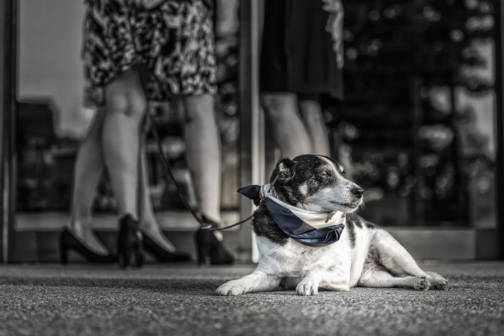 10. Platz Conny Kleiner